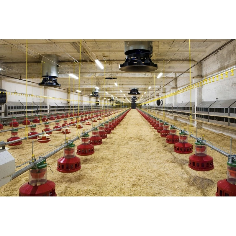 Poultry equipment