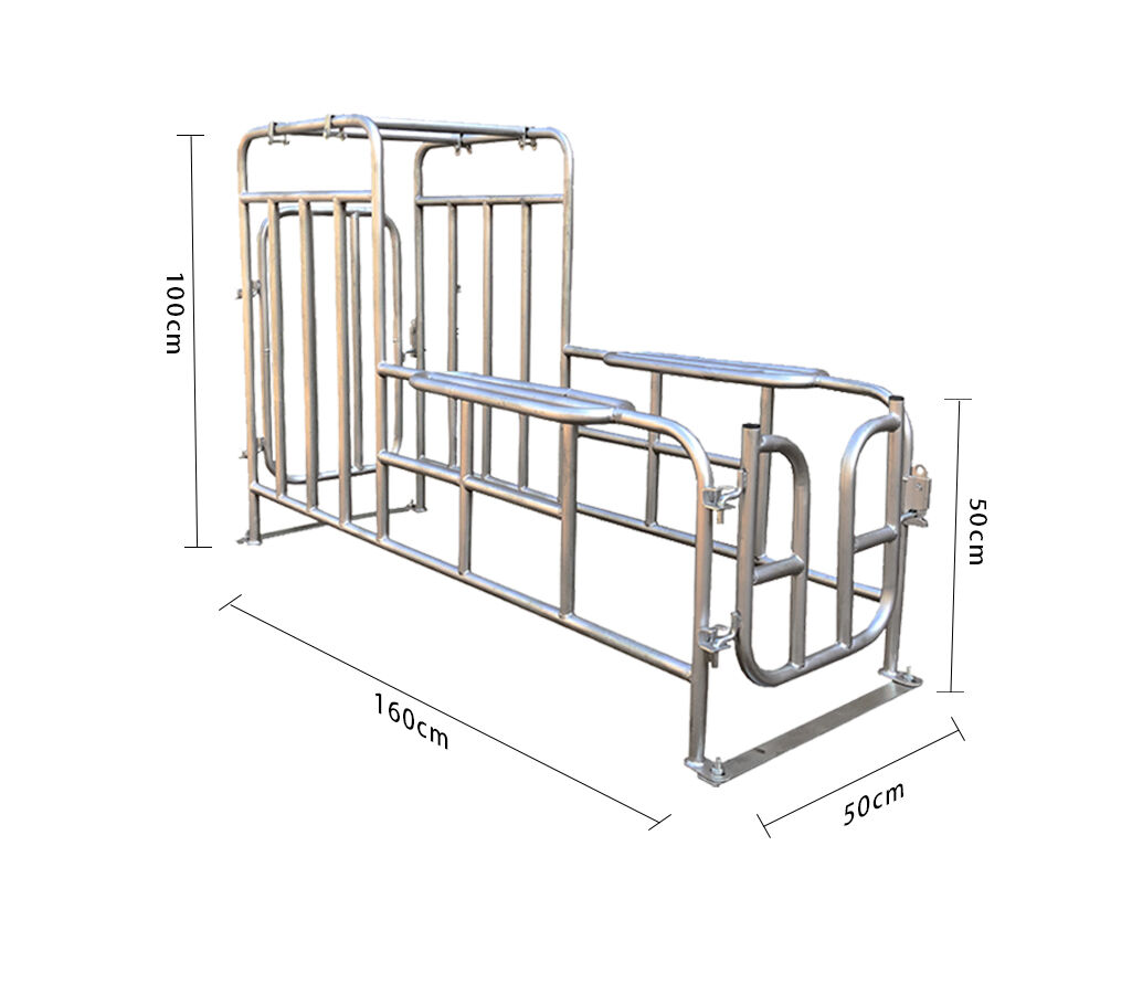 Hot Galvanized Gestation Fattening Pigs Positioning Cage for Sow Breeding