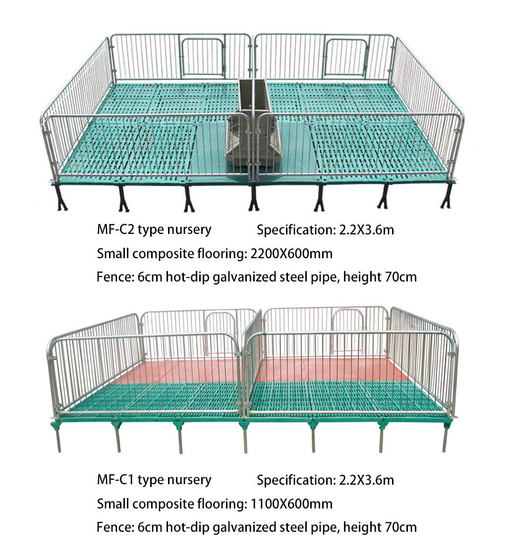 Hot Dip Galvanized Steel Pipe Crate Nursery Pen and Weaning Crate for Piglet and Pig Farm