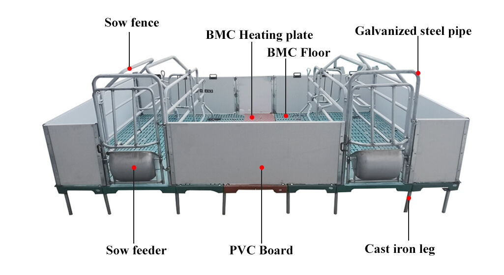 PVC Wall Panel Pig Farrowing Crate With BMC Slat Floor