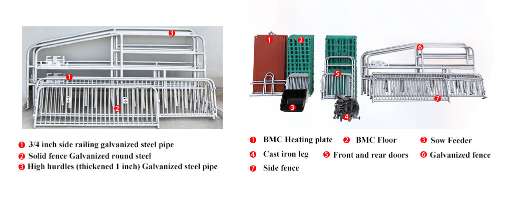 Traditional Type Farrowing Cages For Pigs Farm