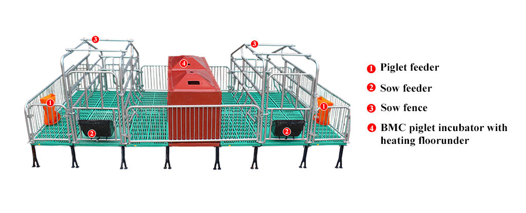 Traditional Type Farrowing Cages For Pigs Farm