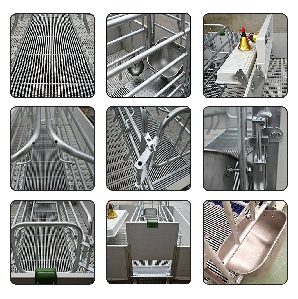 European Type Farrowing Cages For Pigs Farm