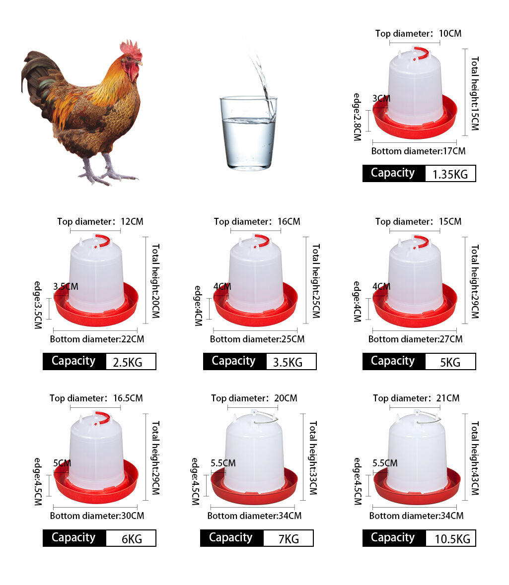 Automatic Chicken Feeding And Drinking Bucket