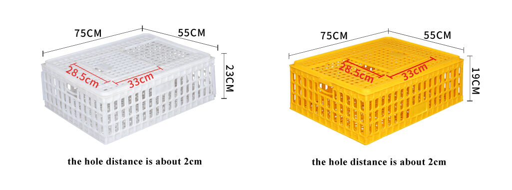 Polypropylene Pp Chicken Transport Basket With Easy Opening Cap