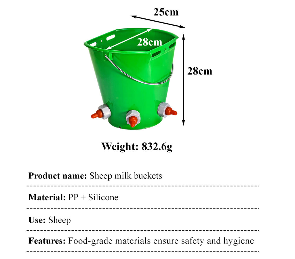 size(b356cfc19e).jpg