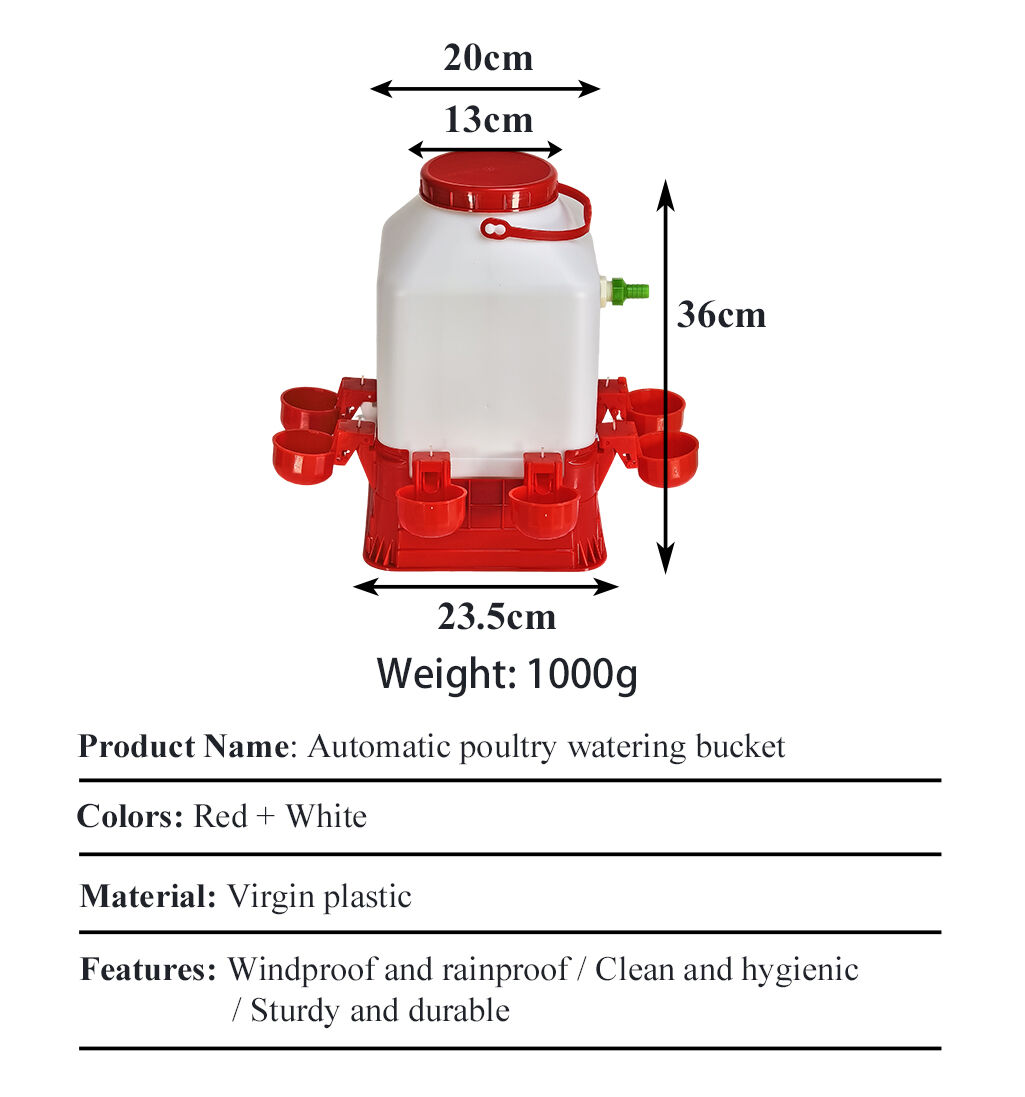 size(ed42bb3e12).jpg