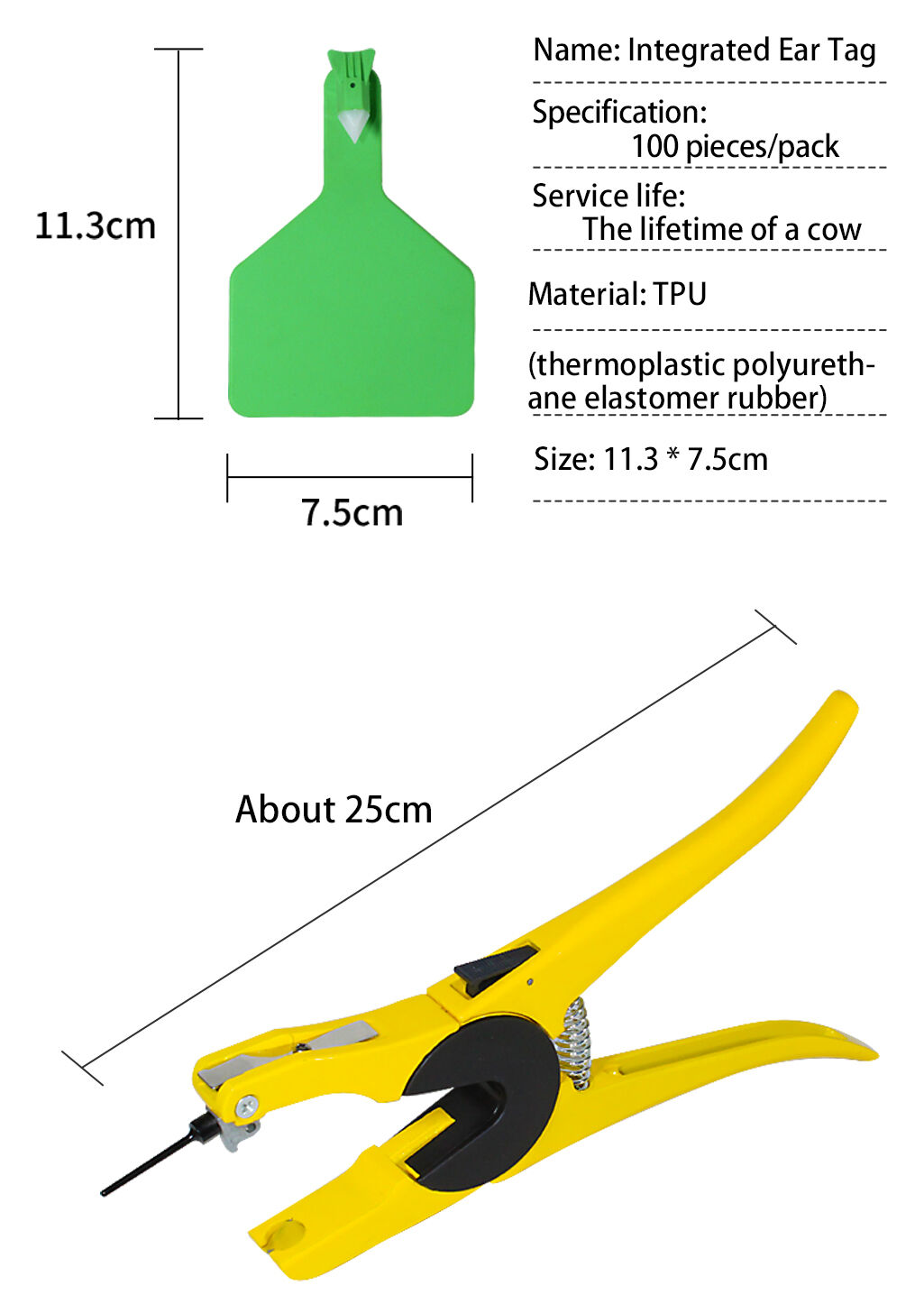 size(3e5fb3b0bf).jpg