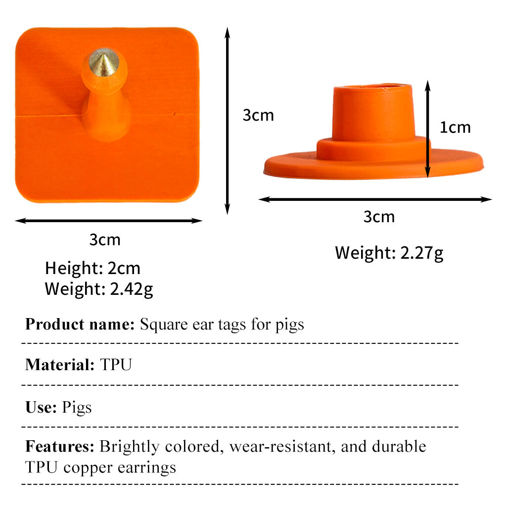 size(6b5edfdf79).jpg