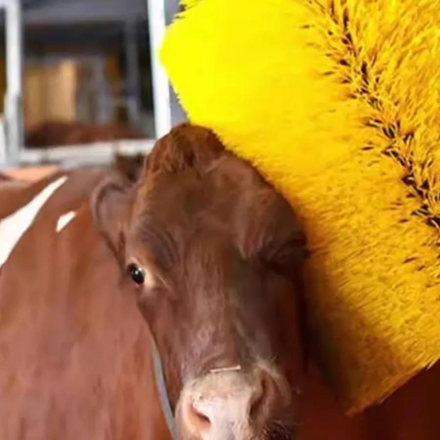 Chinese supplier supplies comfortable rotating cow massage brush for livestock massage