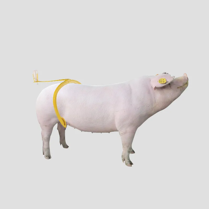 Artificial insemination catheter and bottle holder
