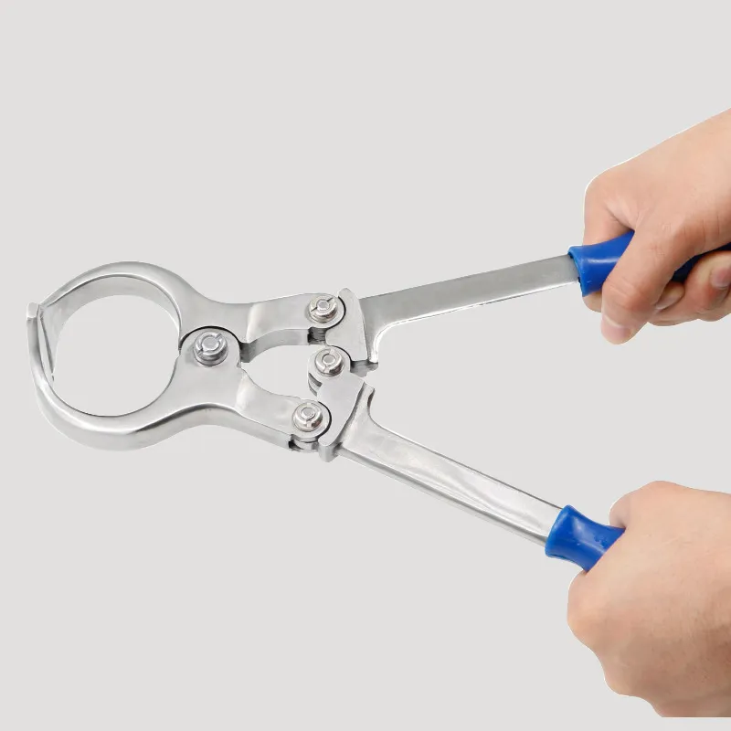 Livestock equipment stainless steel cow and sheep clamps