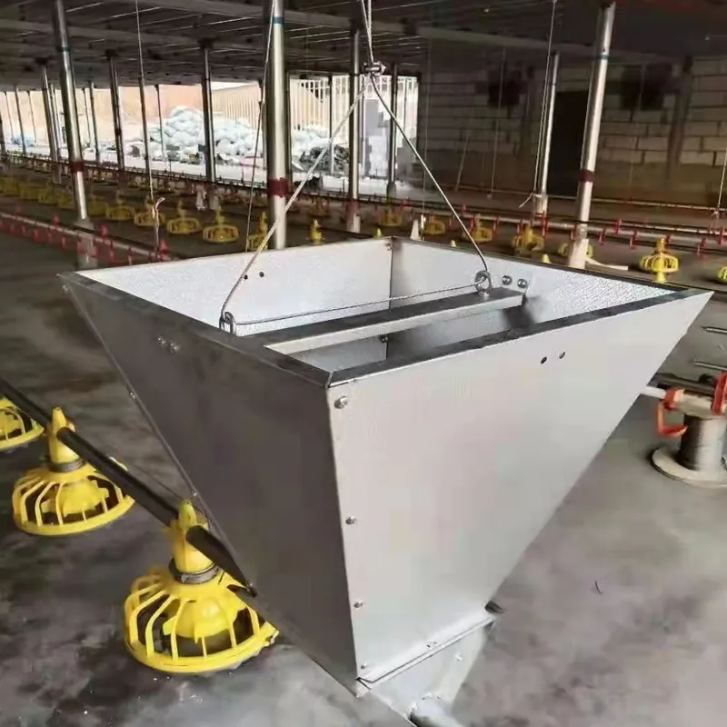 Automatic Chicken Flat Feeding and Drinking Water Line System