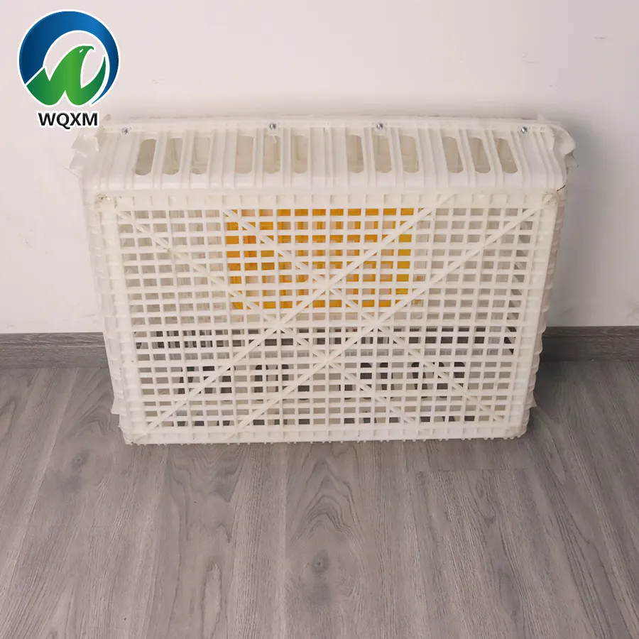 Gold block shaped poultry transport turnover box with hinged loading and unloading doors for chicken/duck farms