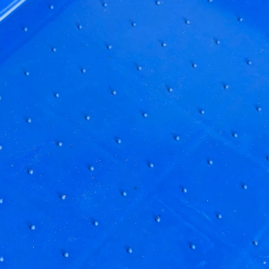 Farm sterilization foot bottom disinfection box, can remove shoes for disinfection