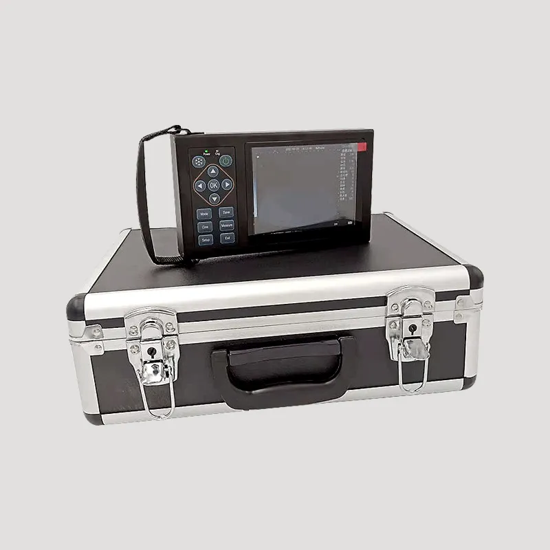 Application of veterinary ultrasound scanner for pregnancy detection in livestock such as pigs, goats, and cows