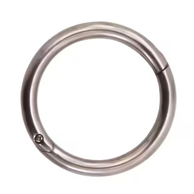 Self Locking Bull Nose Ring Perfect Combination Of And Efficiency