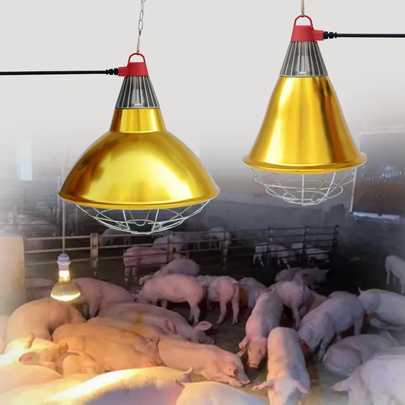 Infrared breeding heating lamp 220V/110V 5000 hours